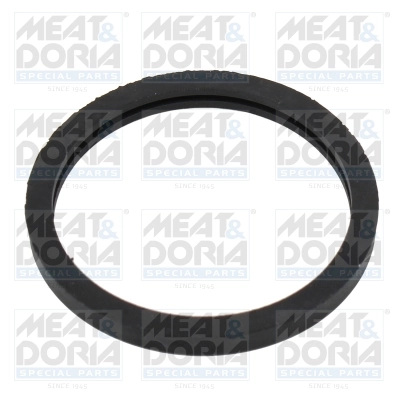 Seal, thermostat